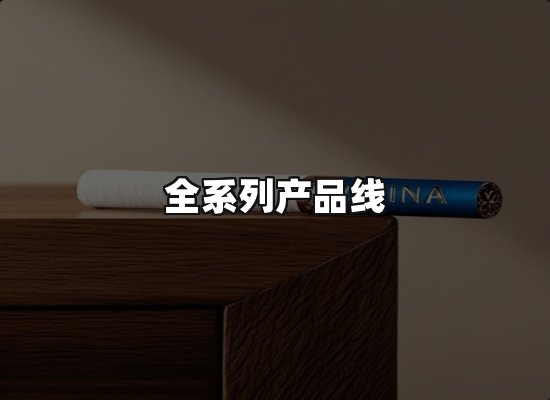 专业优势
